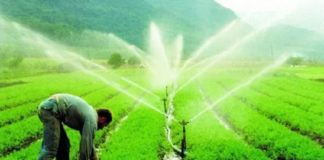 Senar mantém programa de agricultura irrigada