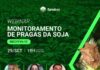 Estratégias de monitoramento de pragas da soja