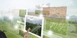 Parceria em projetos pioneiros de internet das coisas na área rural une Bndes e Puc-Rio