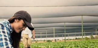 CNMA traz os benefícios da mecanização na agricultura sustentável e a valorização do papel da mulher no campo