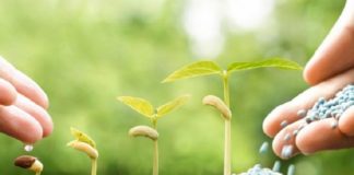 ENTREVISTA – Convênio 100/97: Isonomia de alíquotas trará ganhos para toda a cadeia do agro, prevê Sinprifert