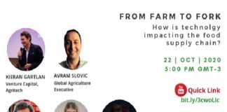 Especialistas irlandeses falam do agronegócio brasileiro