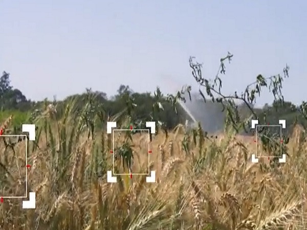Herbicidas do Futuro - Kyojin da IHARA - Chega de ervas daninhas na lavoura  