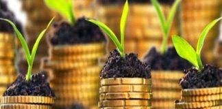 Agroindústria tem 4° mês consecutivo de alta na comparação mensal, informa GV Agro