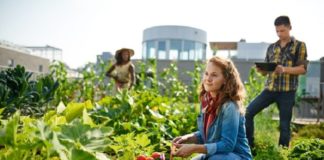 YAMI 2020 tem debate sobre evolução digital no agronegócio