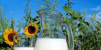 ARTIGO – Entenda o que é o Leite Instável Não Ácido (LINA) e como ele afeta a produção de lacticínios