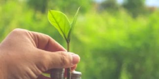 Franquia de crédito rural é uma opção para empreendedores