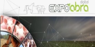 Expoabra aborda o panorama os desafios para o futuro da avicultura nacional