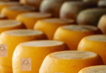 Produtores artesanais de queijo de Goiás conquistam Selo Arte