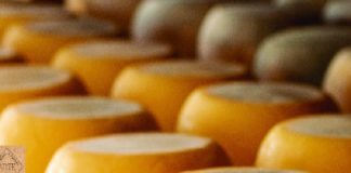 Produtores artesanais de queijo de Goiás conquistam Selo Arte