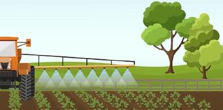 Bulas de defensivos em formato de vídeo também orientam sobre manejo