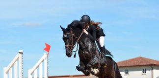 Vetoquinol participa do XV Festival Nacional de Cavalo Brasileiro de Hipismo, garantindo a melhor performance dos animais