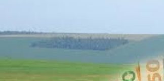 ARTIGO – Recuperação Judicial é opção para o produtor rural