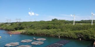 Energia solar fotovoltaica pode tornar o agro ainda mais sustentável, afirma empresário