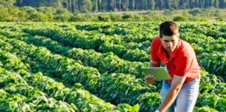 Valorizar e fortalecer cooperativismo: meta do programa Coopera+