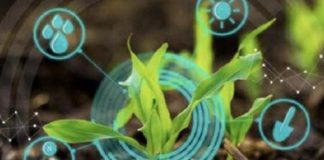 Joint venture objetiva desenvolvimento de soluções digitais no agro