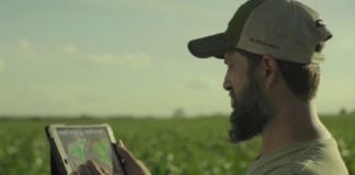 Conectividade no campo é premiada pela ANPEI