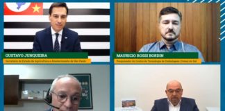 CAMINHOS DO AGRO – Com 55% de área preservada, setor de papel e celulose mostra eficiência ao aliar produção e sustentabilidade