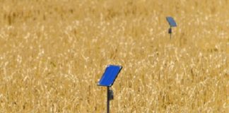 Conectividade no campo: fornecedor global foca em IoT em redes 4G e 5G