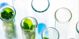 Identificar produtos químicos renováveis mais promissores para a economia brasileira: meta de estudo da Unicamp