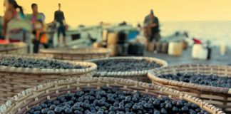 Parceria do Basa com Oscip beneficia 4 mil unidades de agricultura familiar