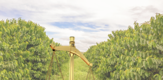 Homologado plano de recuperação judicial da Terra Forte