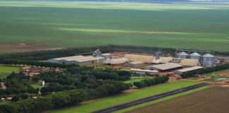 ESPECIAL – Projeto de empresa agrícola levará conectividade a área de plantio superior a 450 mil ha até 2021