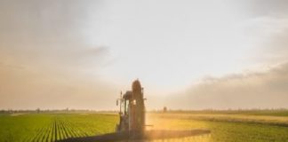 DESTAQUE – Agricultura digital favorece contratação de seguro agrícola, garante especialista