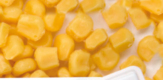 NOVIDADE – Teste detecta nível da micotoxina em grãos