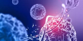 Tecnologia e melhoramento genético: ganhos da ANCP em 2020