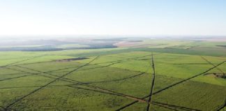 Tecnologia revoluciona agricultura e reduz custos operacionais e desperdício