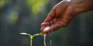 ESPECIAL – Recuperação judicial no agro: lei entrou em vigor em 24 de janeiro