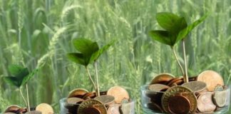 Crescimento da contratação de crédito rural expande atuação de franquia em consultoria