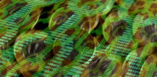 Barter: união entre empresa e plataforma estimula comercialização on-line