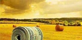 CBDA – Sistema de Financiamento Privado será tema em evento híbrido