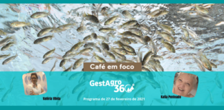 GestAgro 360° em Café em foco leva a produção de peixe de cativeiro