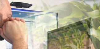 ATENÇÃO – Conab oferta em leilão lotes de defensivos agrícolas apreendidos em operação da Justiça