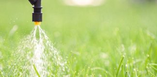 Um ano de desafios e pleno de ações: perspectiva da Ihara para 2021