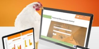 Sistema de monitoramento sanitário e gestão da informação também oferece assistência veterinária a frangos