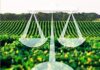 CBDA – Especialistas em direito do agro avaliam desafios jurídicos regulatórios do setor