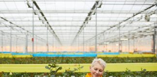 CNMA 2021 – A força da mulher enfatizada em edição on-line em outubro