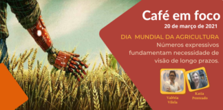 Café em foco – Visão 2014-2034 é destacado pelo GestAgro 360º