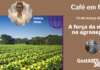 Café em foco – Eventos e prêmio voltados à mulher na participação de GestAgro 360°