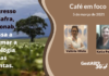 Café em foco – GestAgro 360° destaca novidade no boletim Progresso da Safra