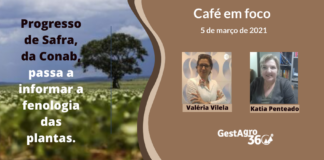 Café em foco – GestAgro 360° destaca novidade no boletim Progresso da Safra