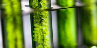 Comitê de Inovação conhece solução de captura de gás carbônico com inteligência artificial