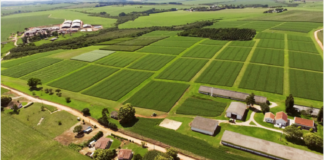 Show Tecnológico de Verão acontece em formato virtual