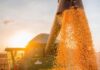 Safra 2020-2021 – Prevista nova supersafra de grãos