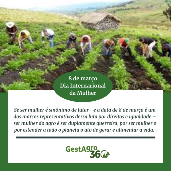 8 de março: Dia Internacional da Mulher