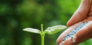 ESPECIAL – Prorrogação do Convênio 100 está vigorando